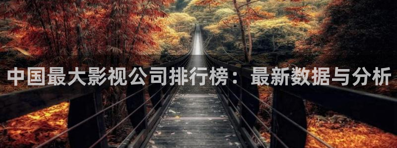 星辰影院手机版在线观看：中国最大影视公司排行榜：最新数据与分析