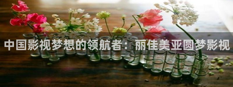 招摇电视剧星辰影院：中国影视梦想的领航者：丽佳美亚圆梦影视