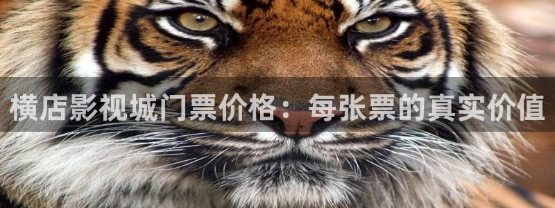 教父1完整版在线观看星辰影视