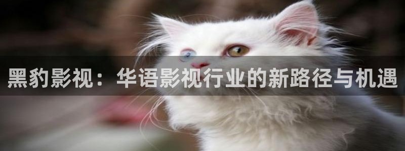 免费星辰电影