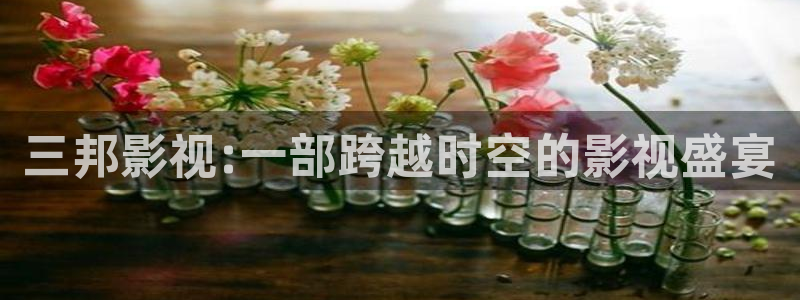 星辰影院女老师