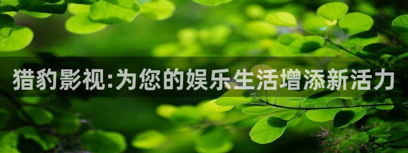 星辰影院免费观看高清完整版