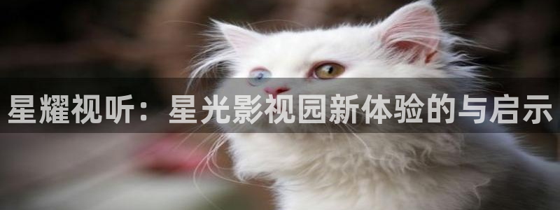 星辰影视大全免费观看完整版：星耀视听：星光影视园新体验的与启示